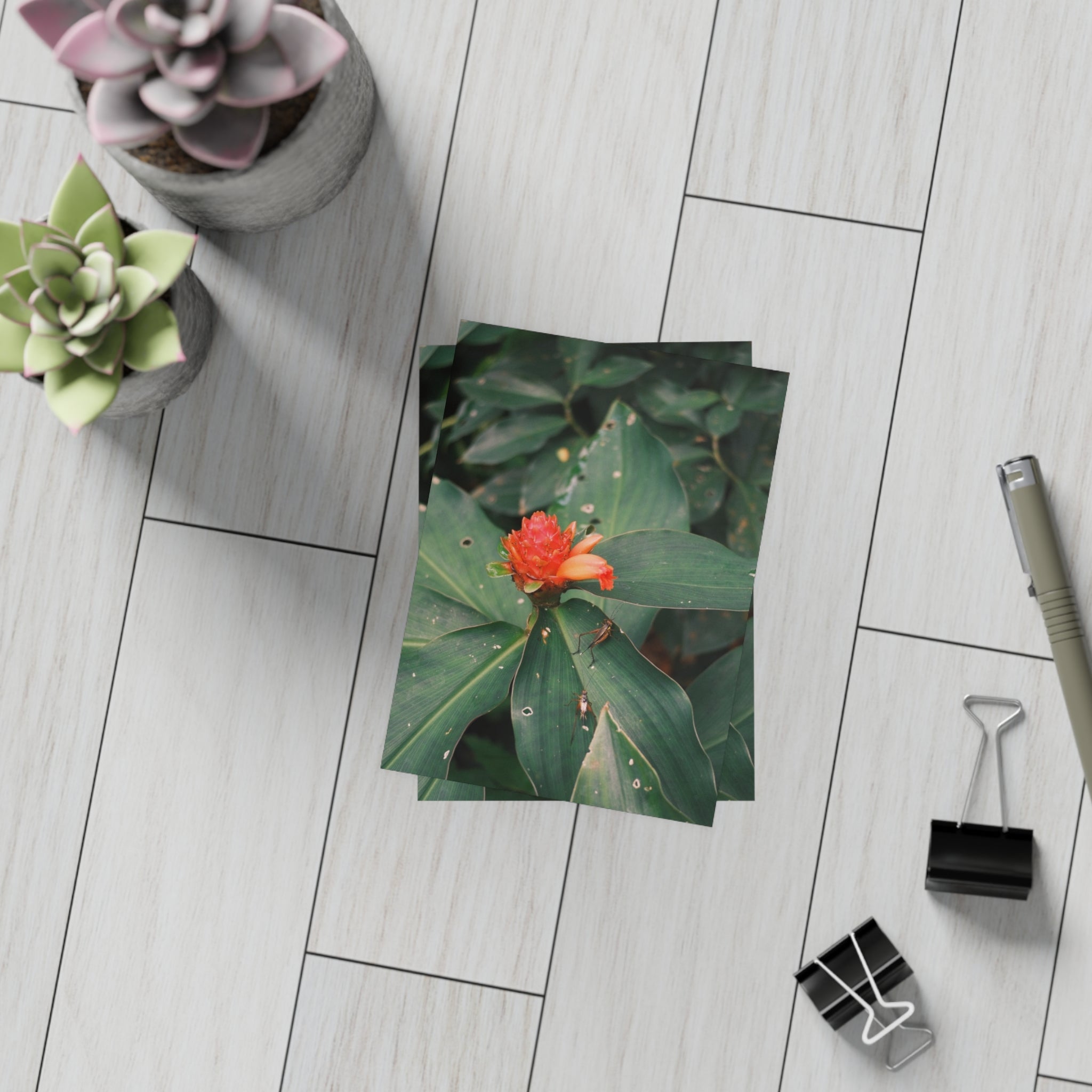 Red Ginger Botanical Postcard Bundle with Envelopes — Tropical Floral Note Cards